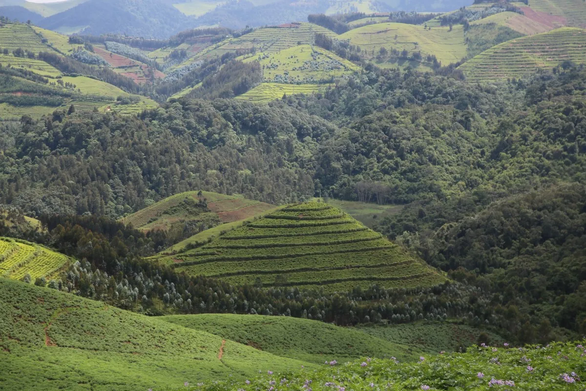 3 Days Lake Kivu Kayaking Excursion